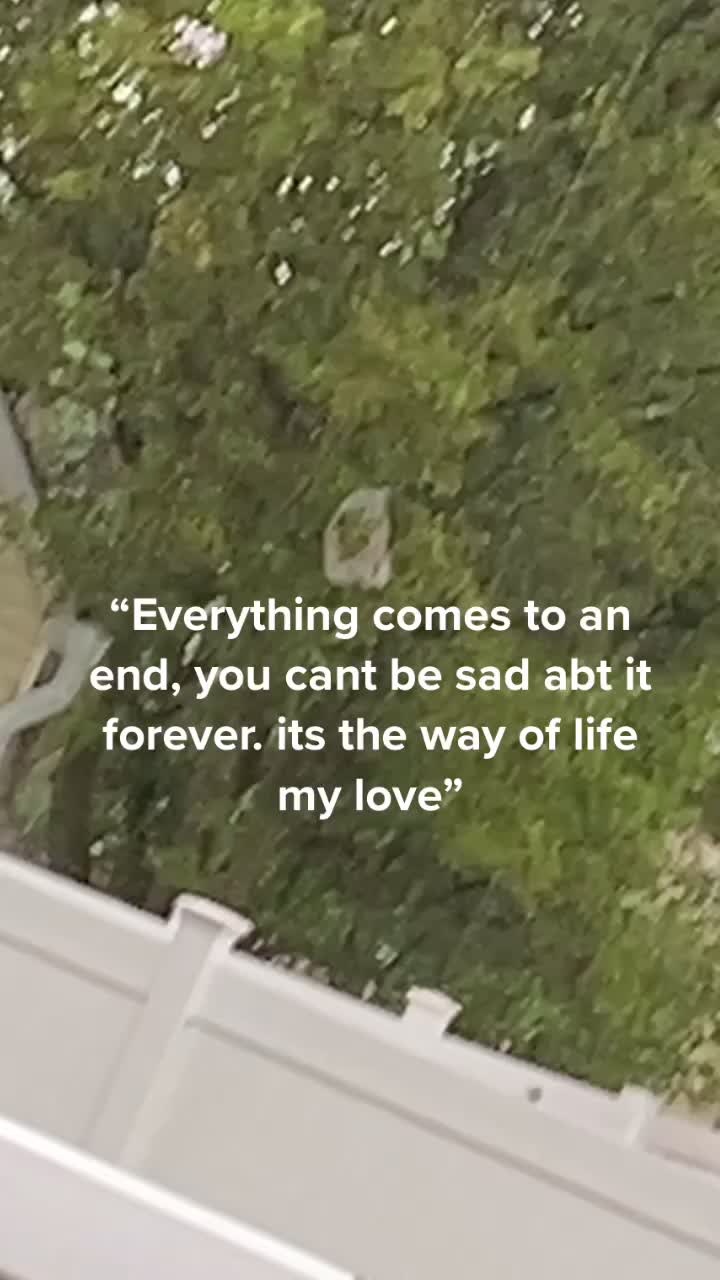 @your loved ^^