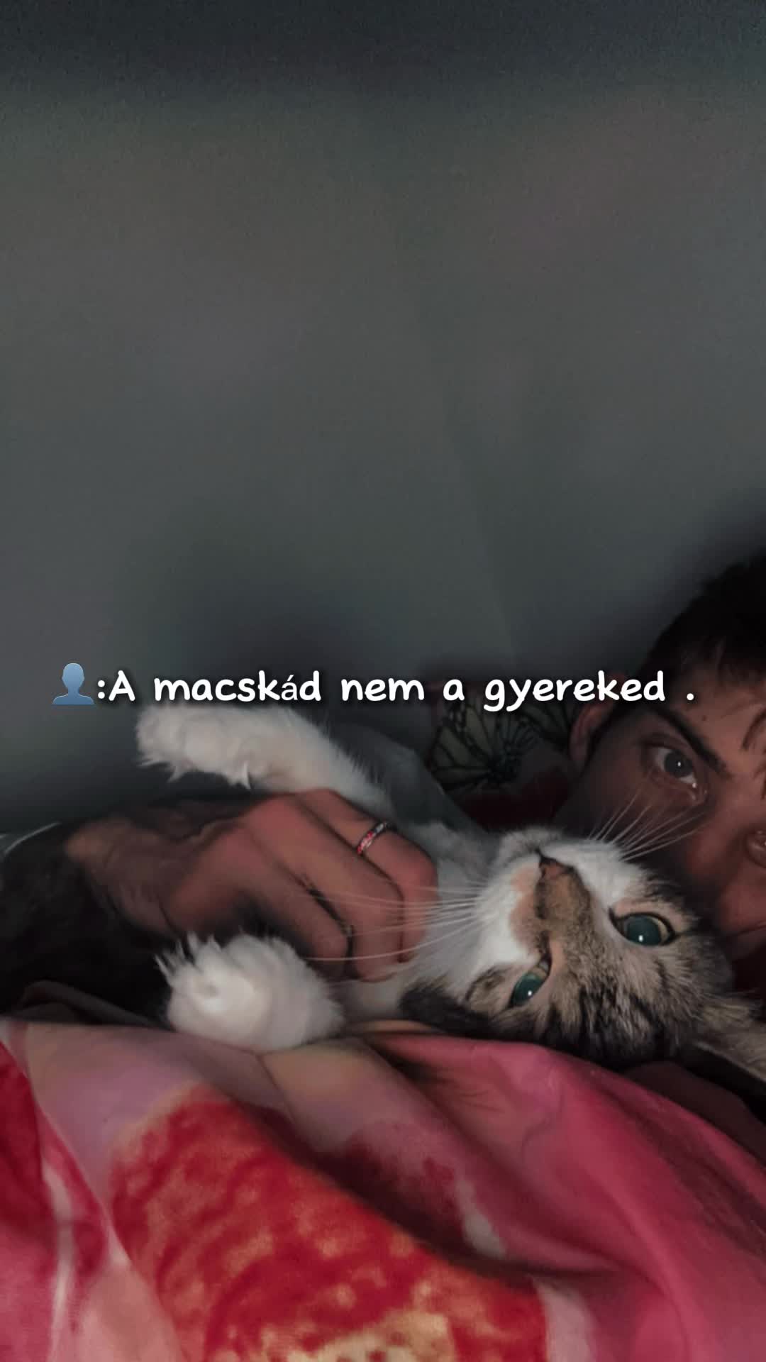 @Herendi Máté