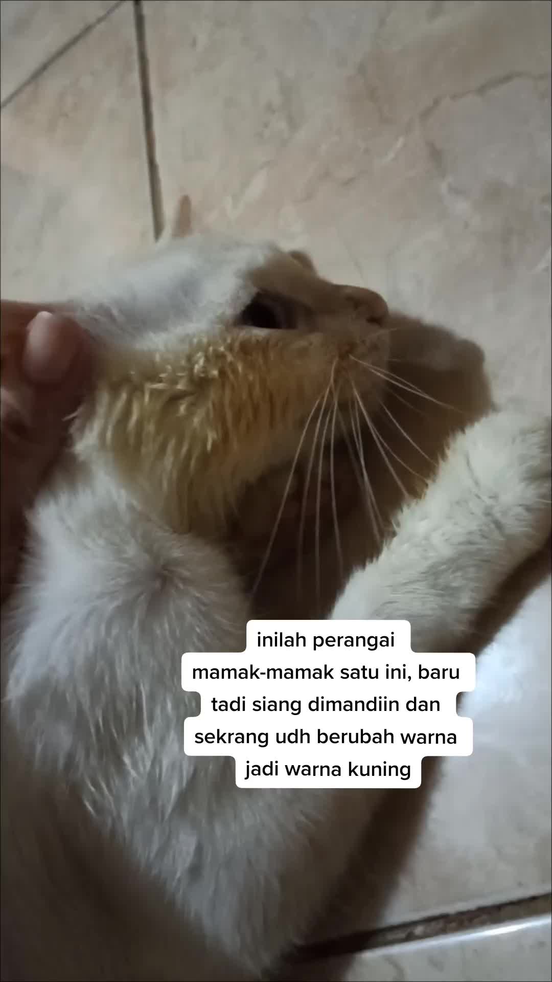 @Keluarga Manja R