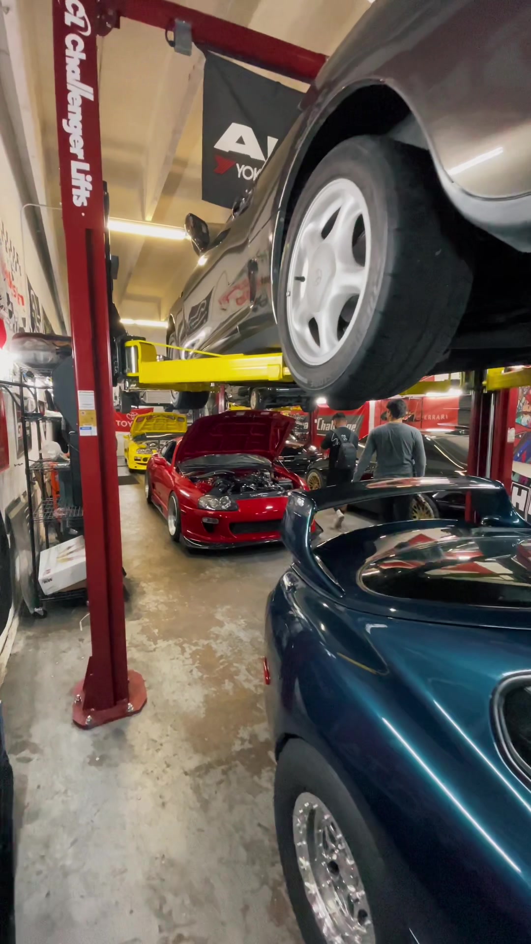 @marantawx