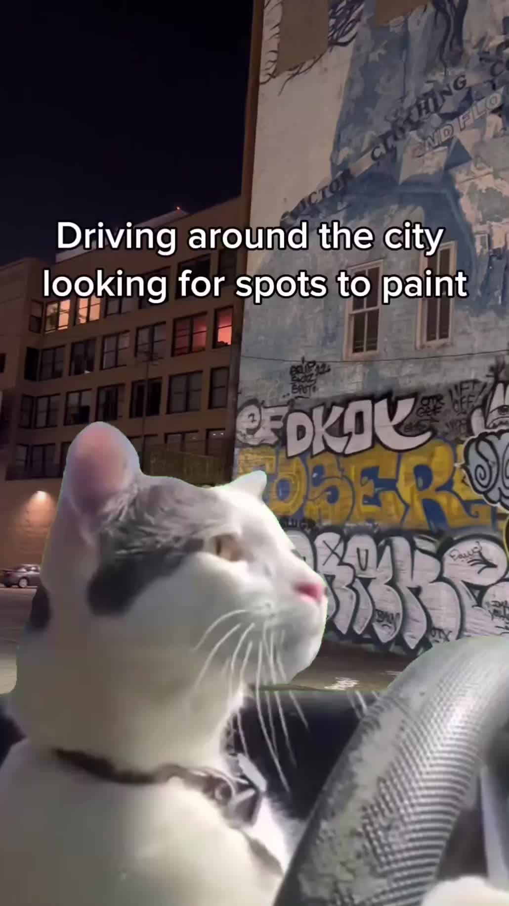 @graffiti compilation