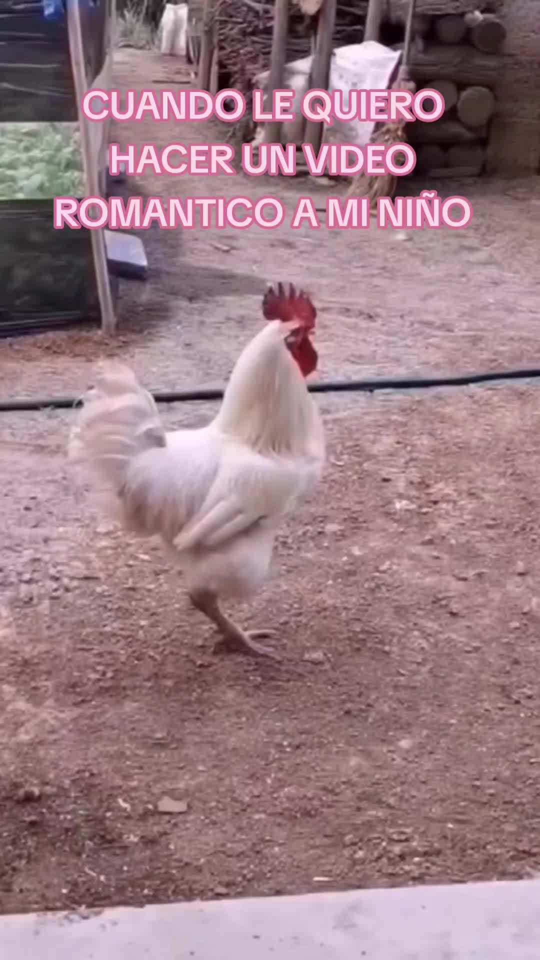 @Maria Sanchez Fernandez