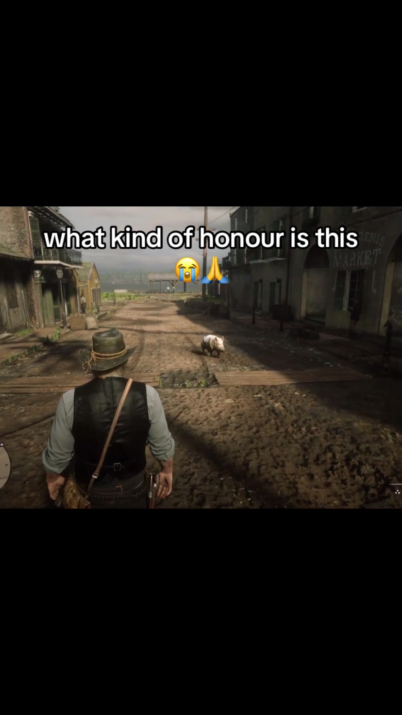 @↻- donkey -↺