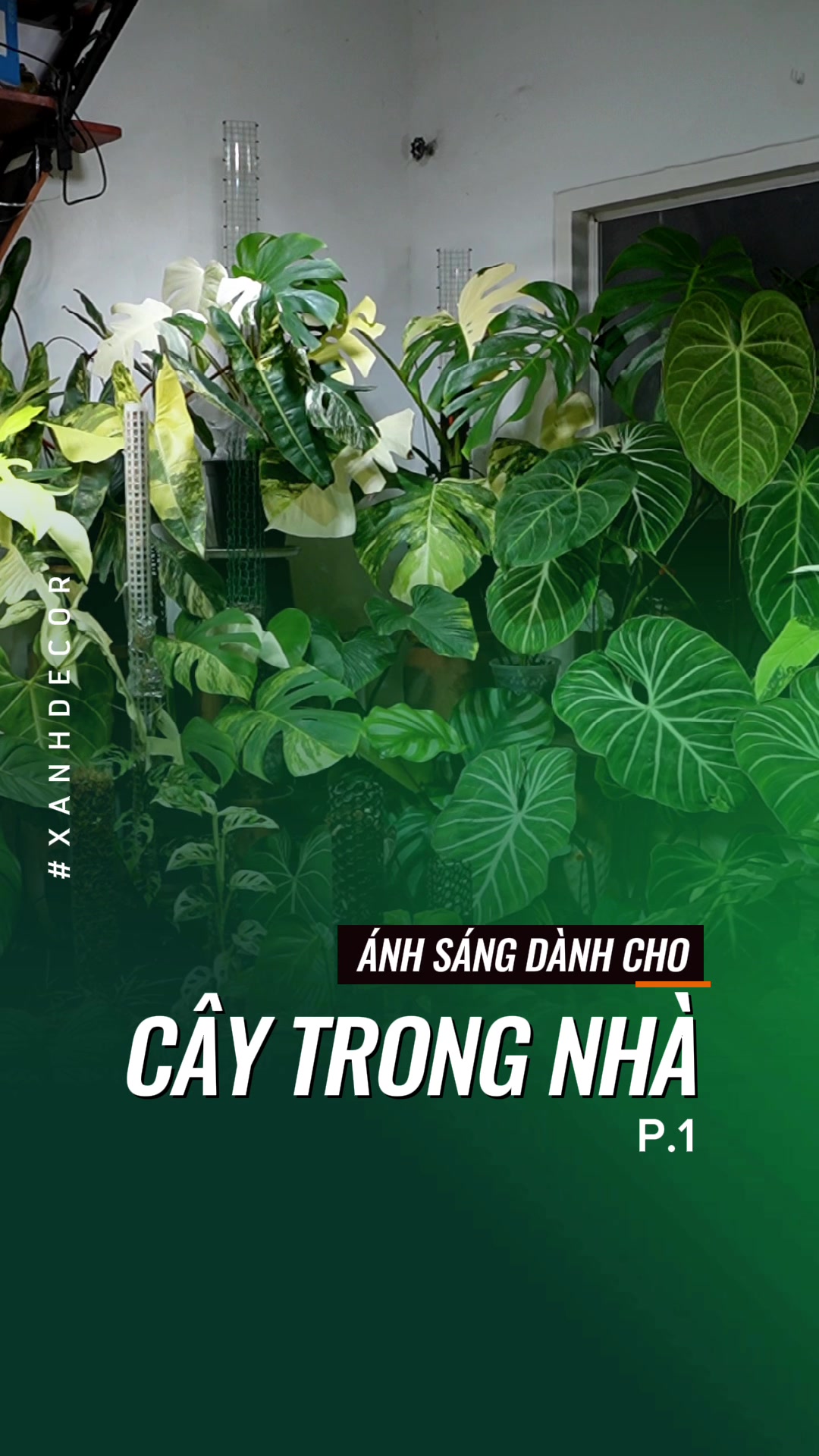 @XANH DECOR