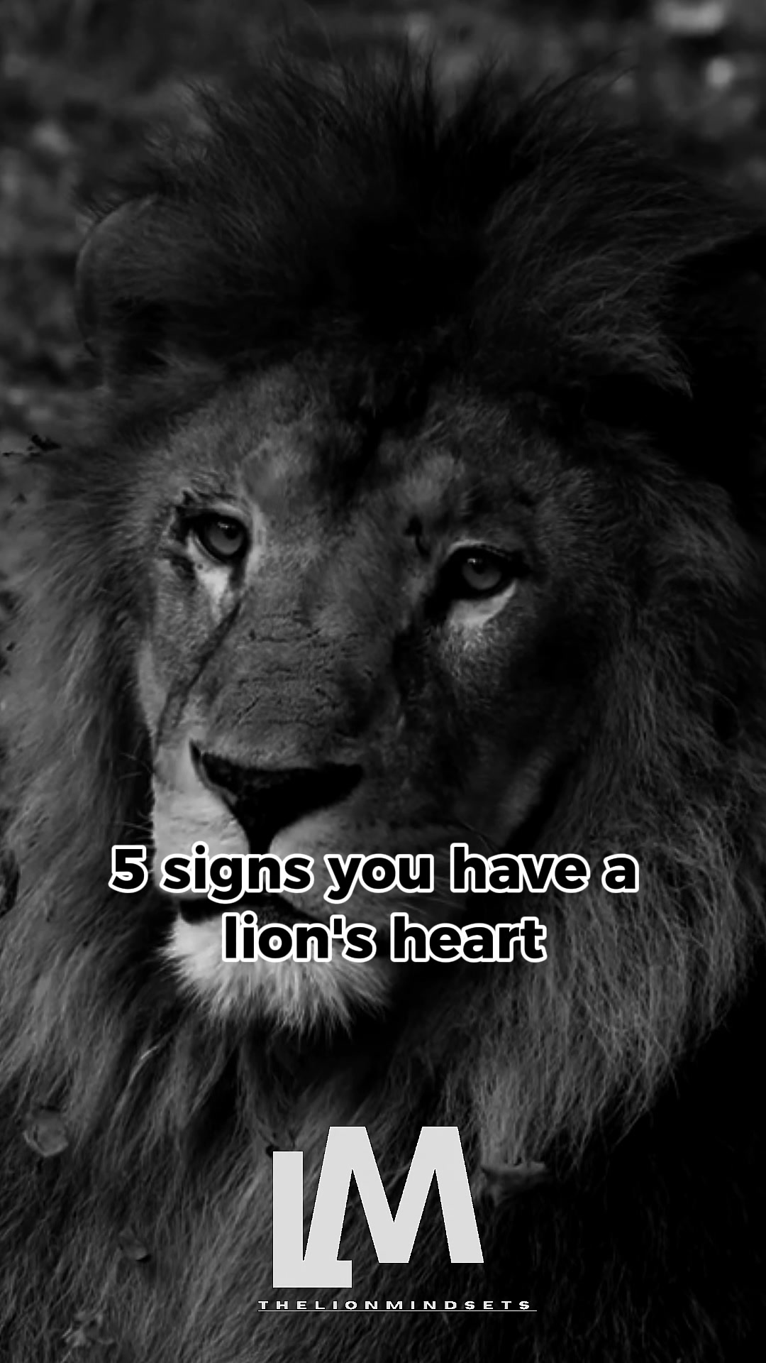 @the lion mindset