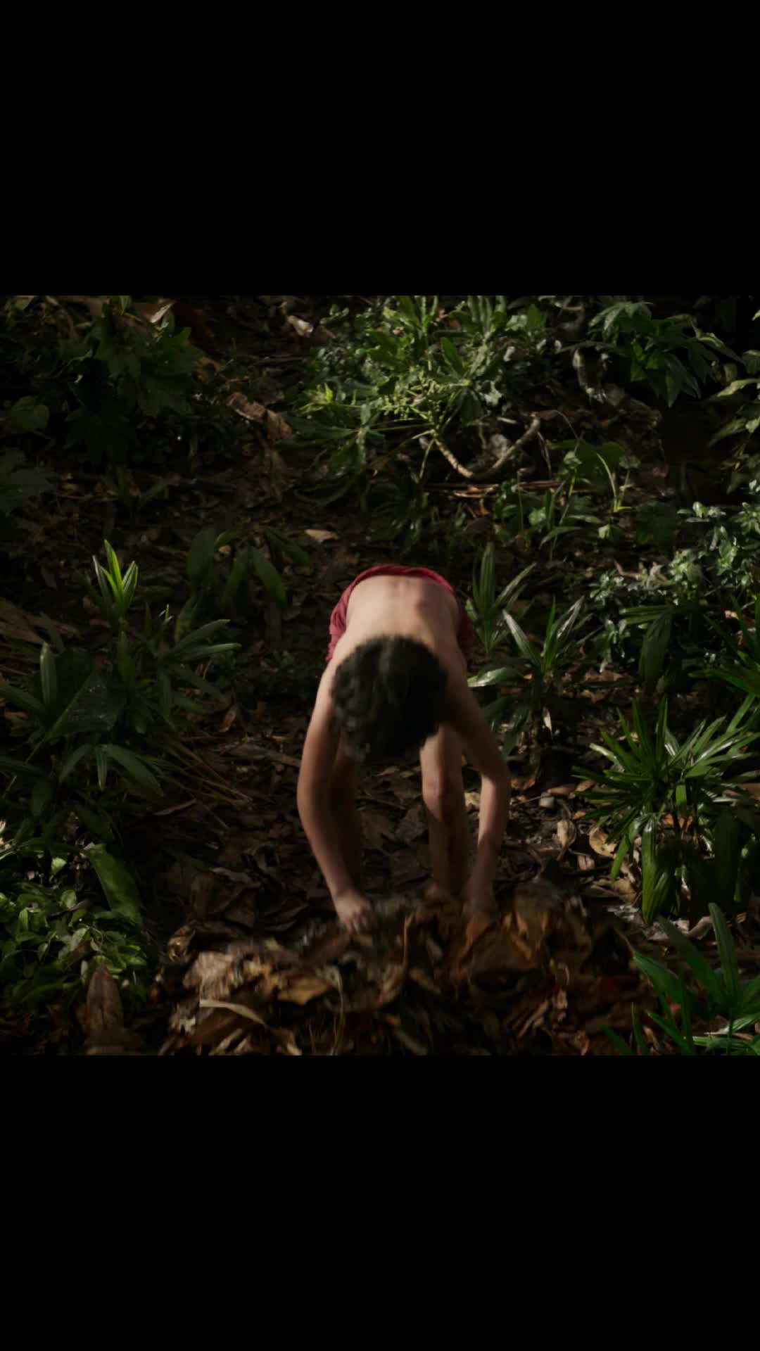 @Catomovie