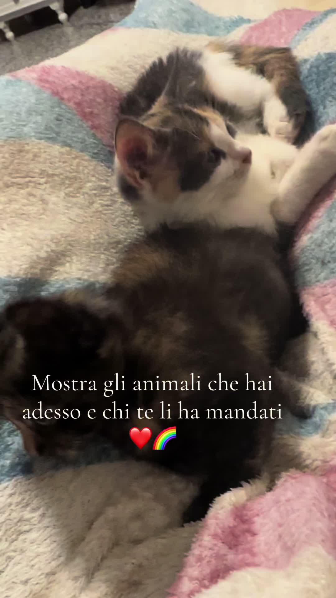 @🦋Sono Serena🦋