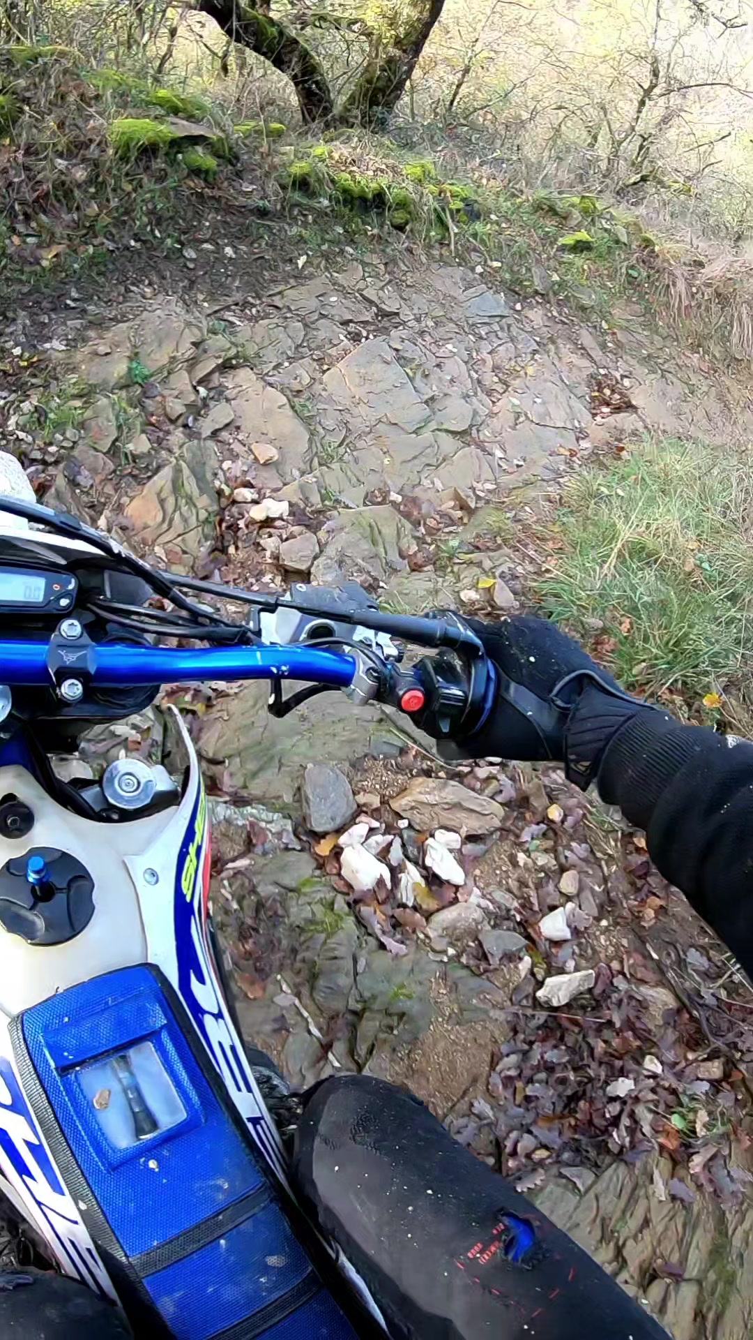 @MOTO CROSS🇨🇵