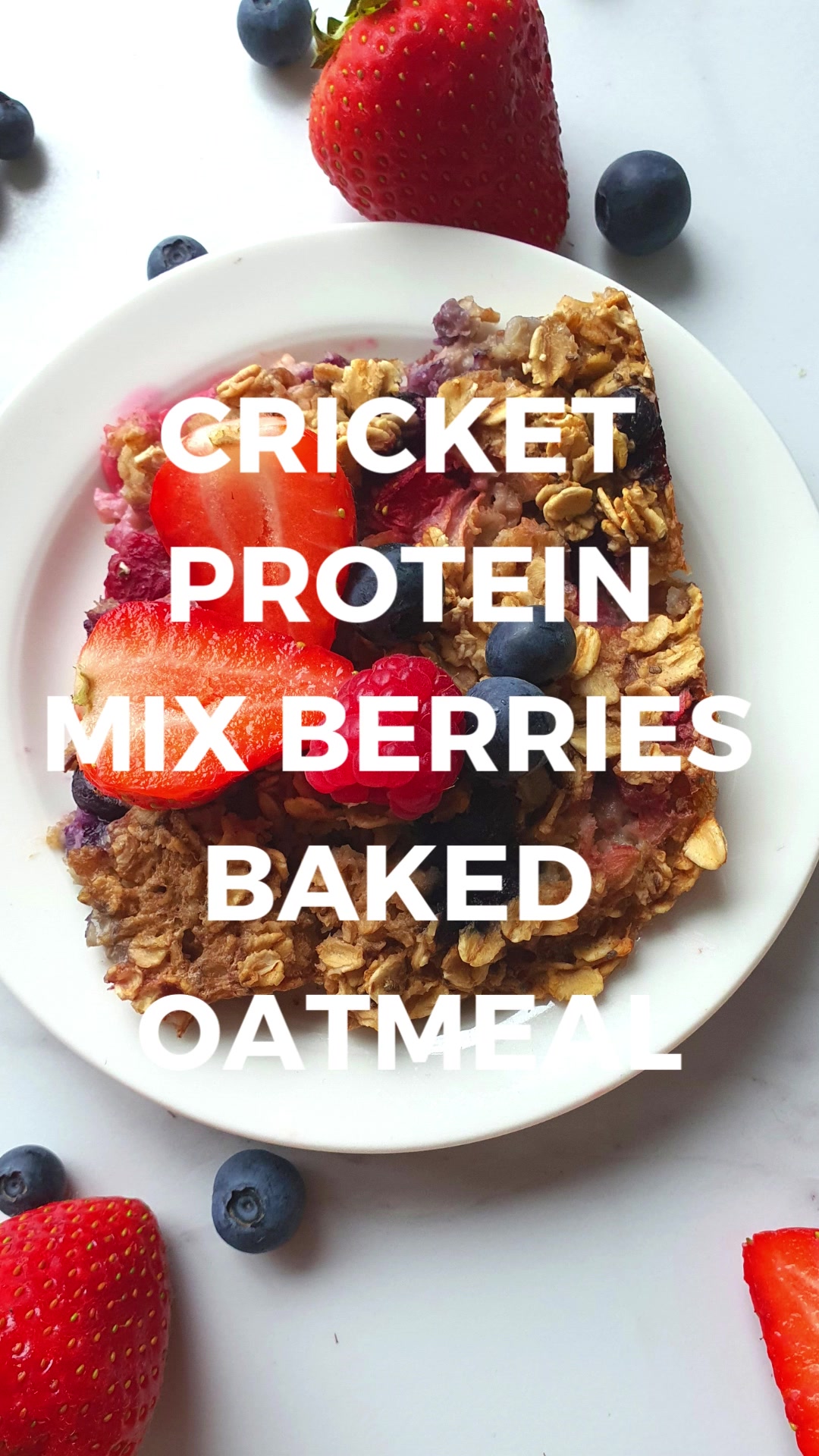 @proteincricket