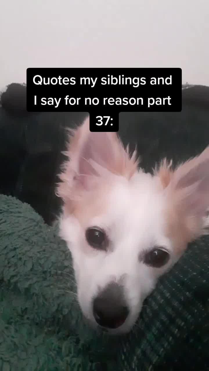 @kshoe3