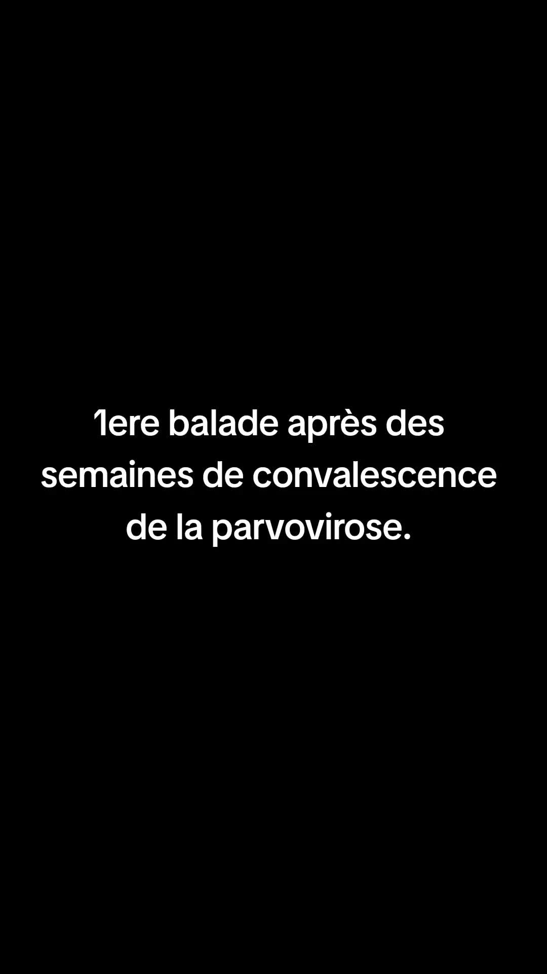 @flopy et Urion