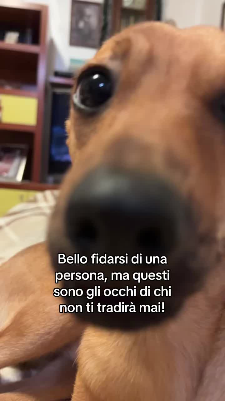 @Francesca Monetta