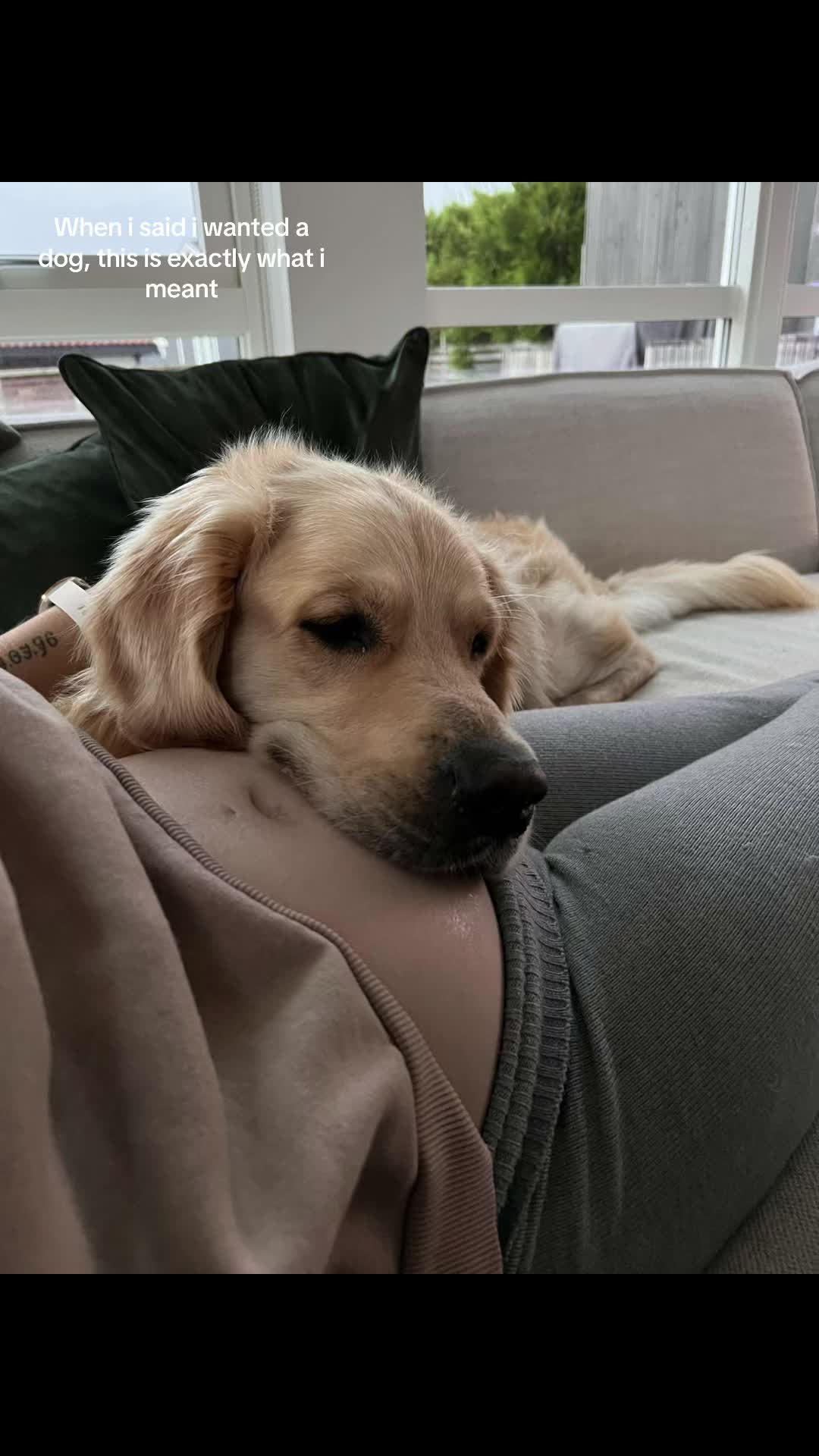@Pepsi_thegoldenboy