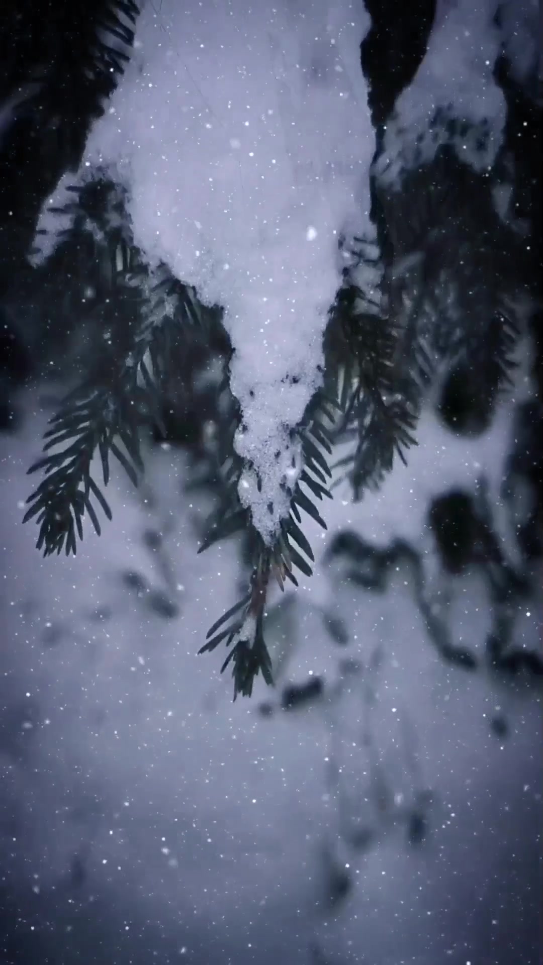 @Snoreen Ayngratt