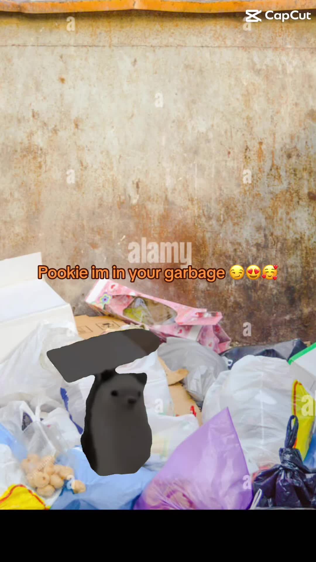 @a_random_account_._._