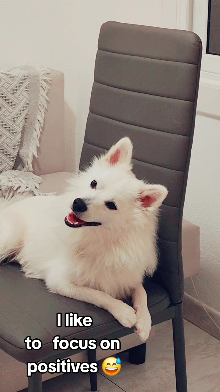 @TheWhitePrince👑
