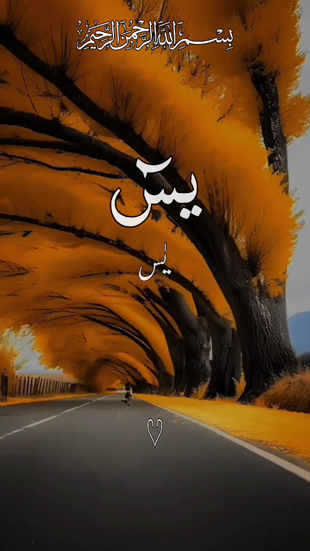 @❣️ Words of Allah ❣️