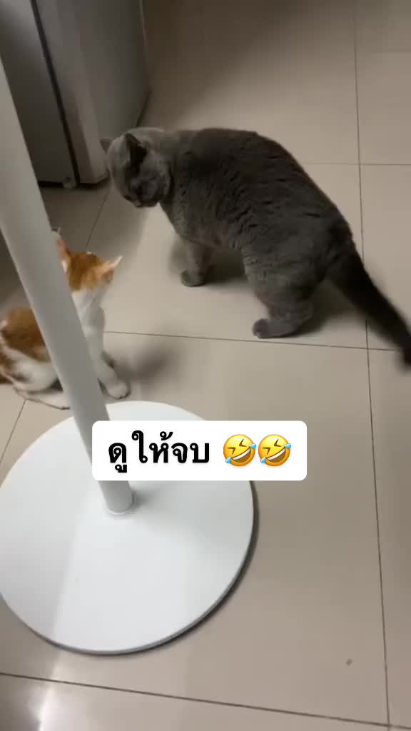 @Sun1i9ht