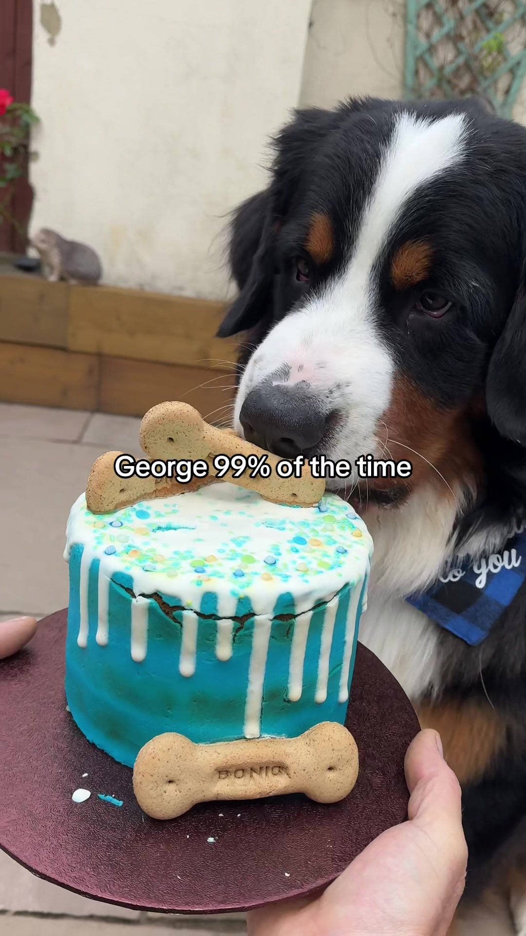 @GorgeousGeorge