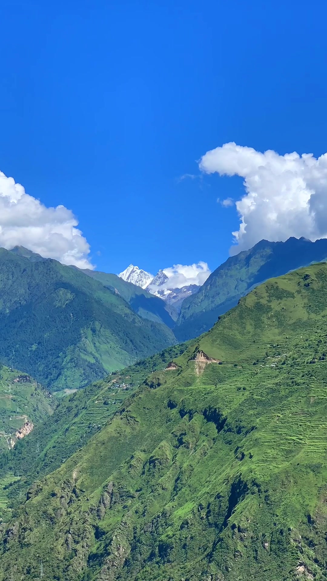 @སེང་གེSengay76