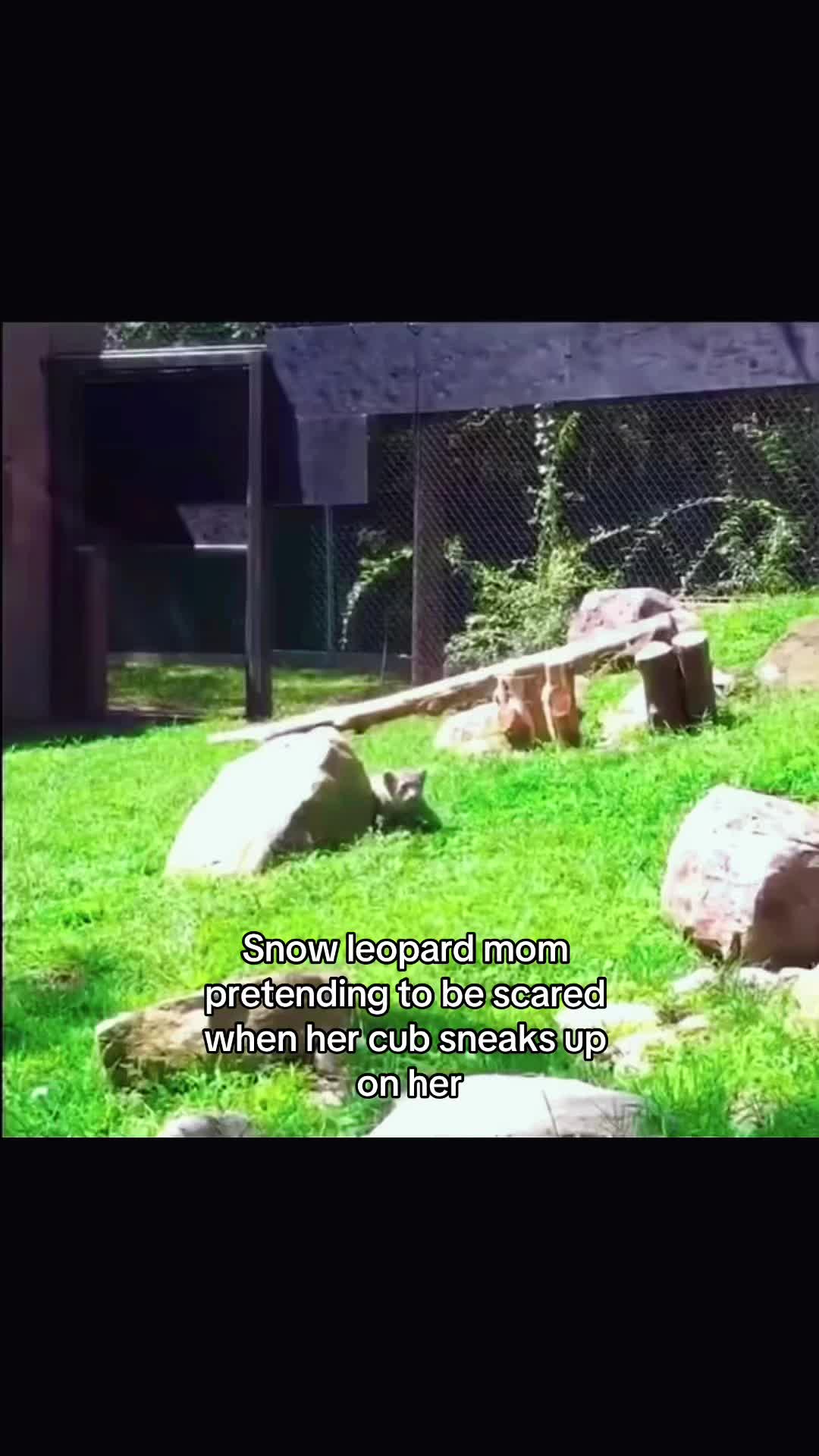 @yb
