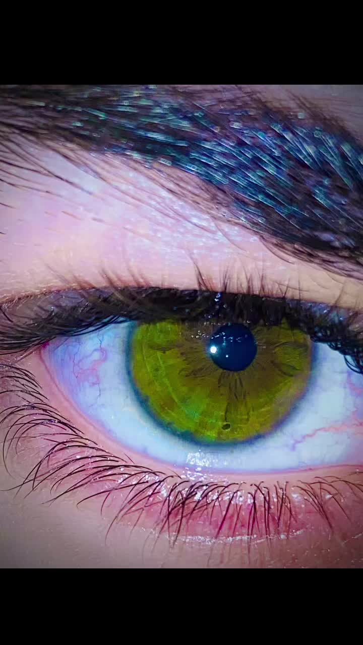 @Emran _Taşhev🐺🖤