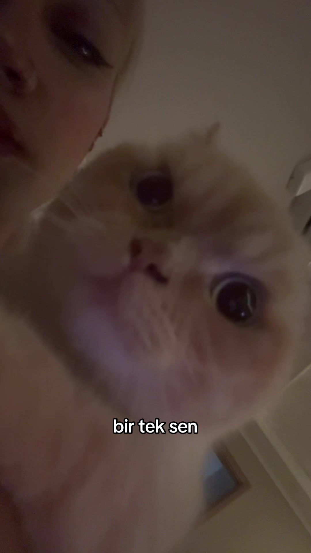 @Aleyy✨