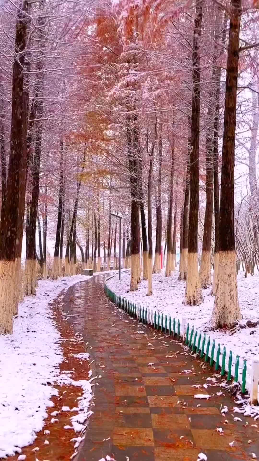 @Beauty sharer