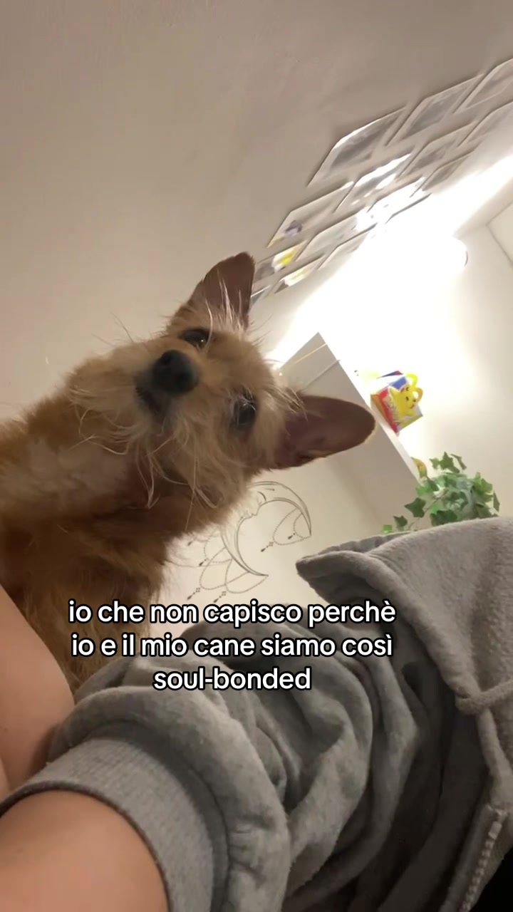@giulia 🧃🪬