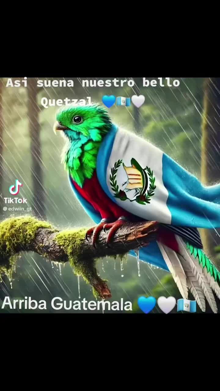 @⚖️Un⚖️le&oacute;n ⚖️