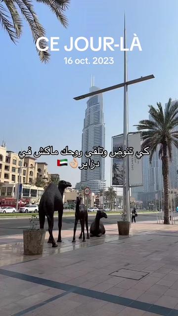 @koki milka🇩🇿 🫀🇦🇪