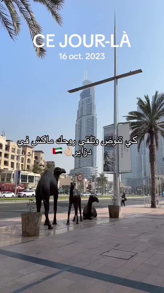 @koki milka🇩🇿 🫀🇦🇪