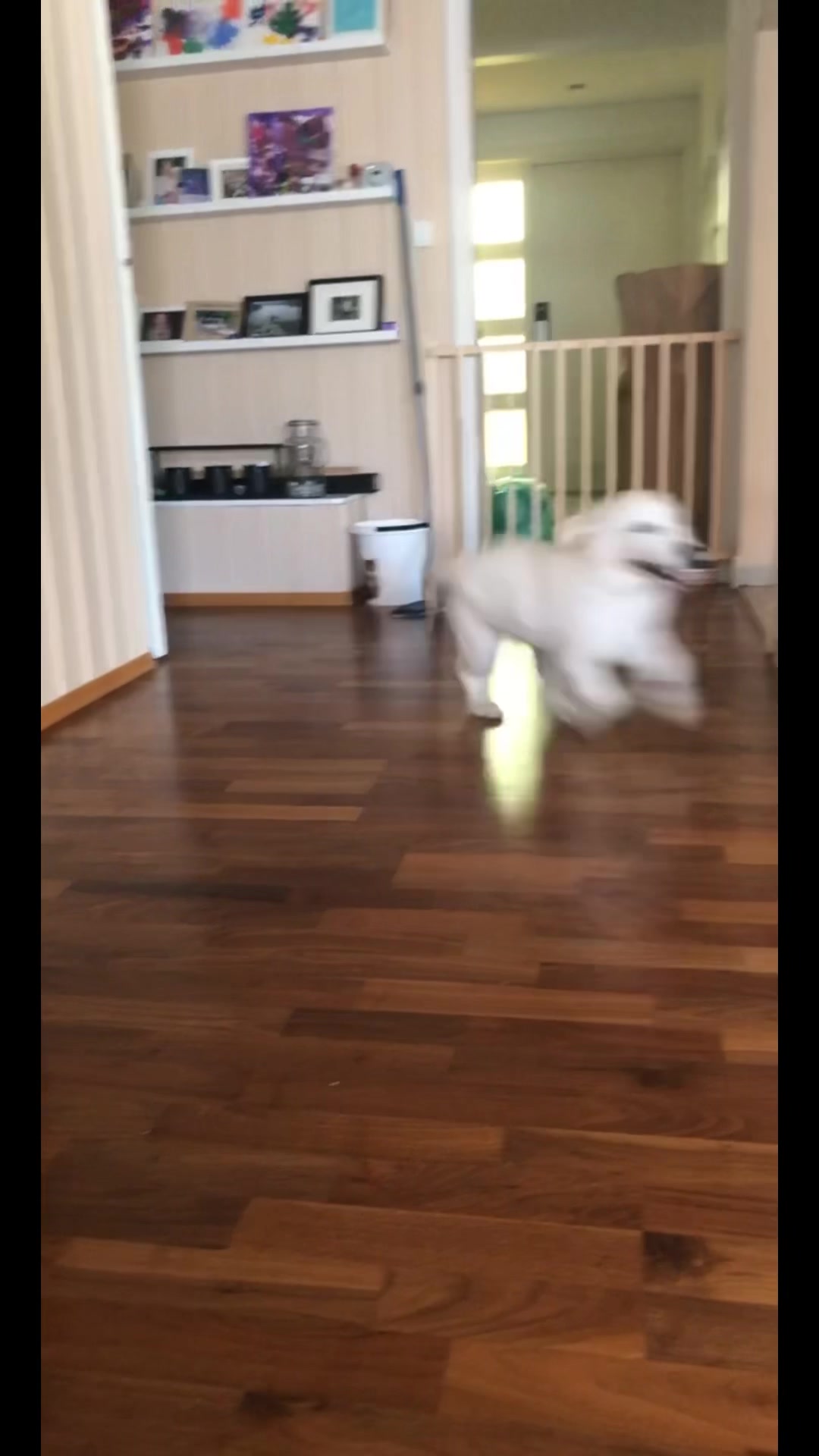 @Navi🐾