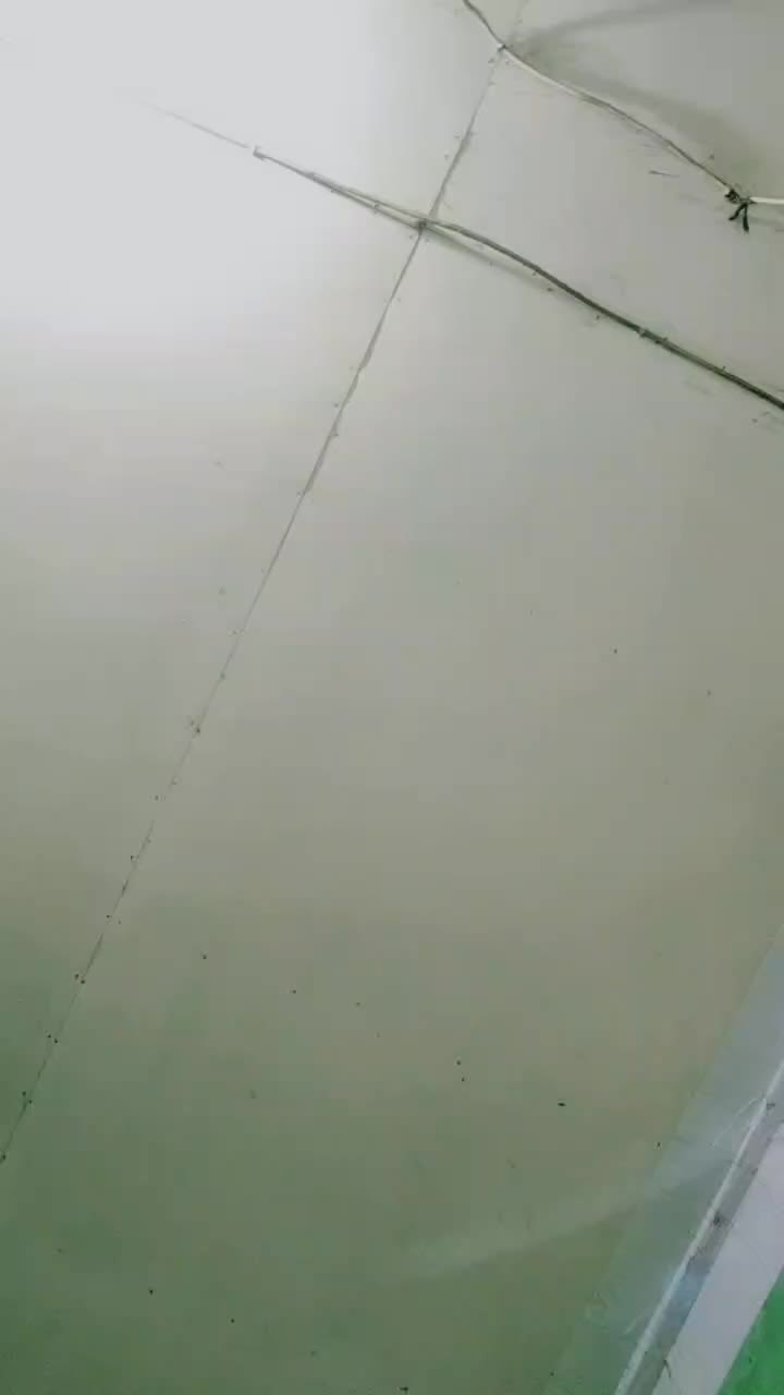 @R A D I T