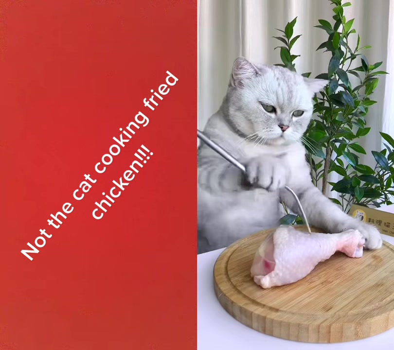 @FoodPorn