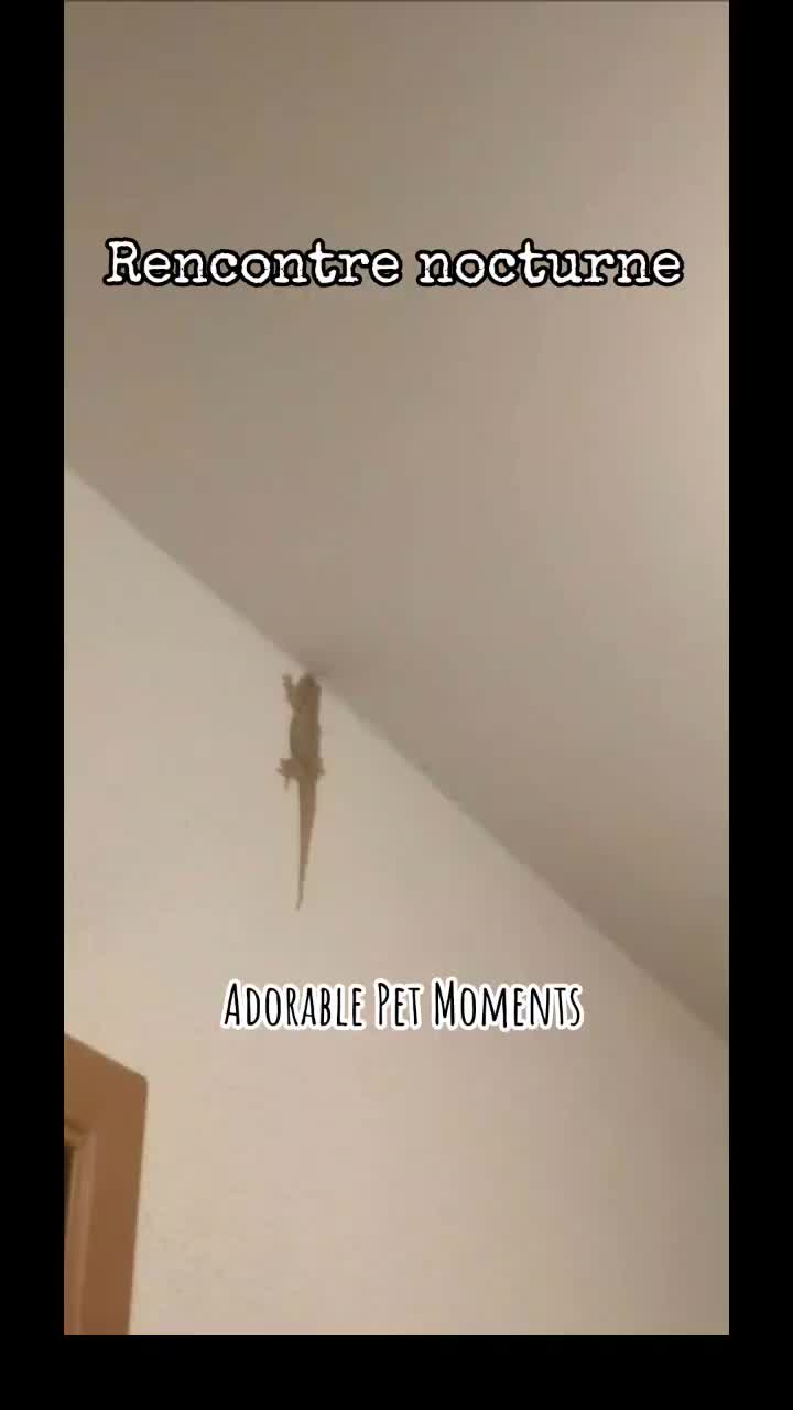 @𝘚𝘶𝘱𝘦𝘳 𝘗𝘩𝘪𝘯𝘰𝘶