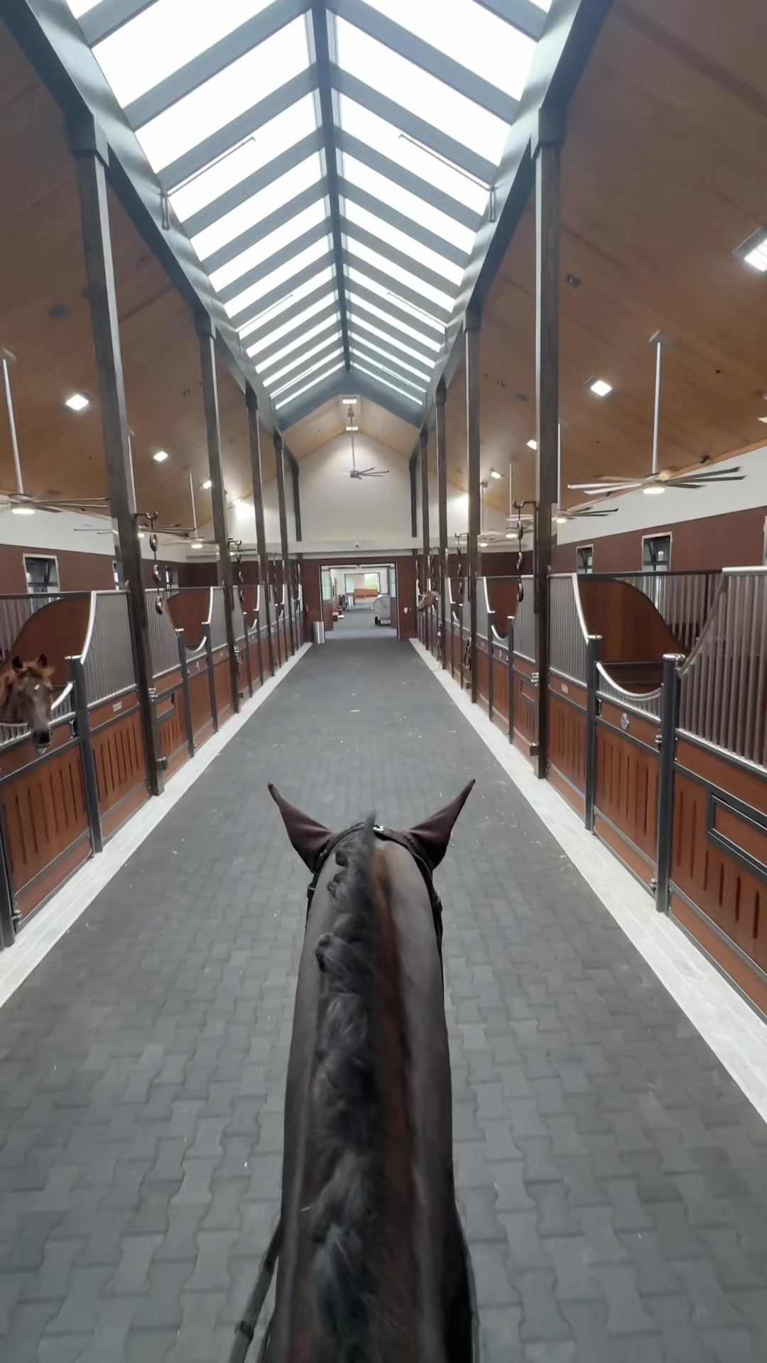 @Equestrian Stockholm