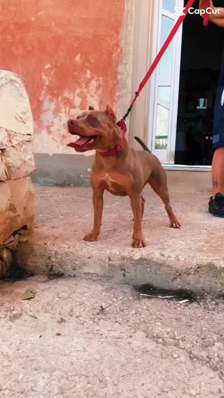 @The gods of the valley🏛️🐾