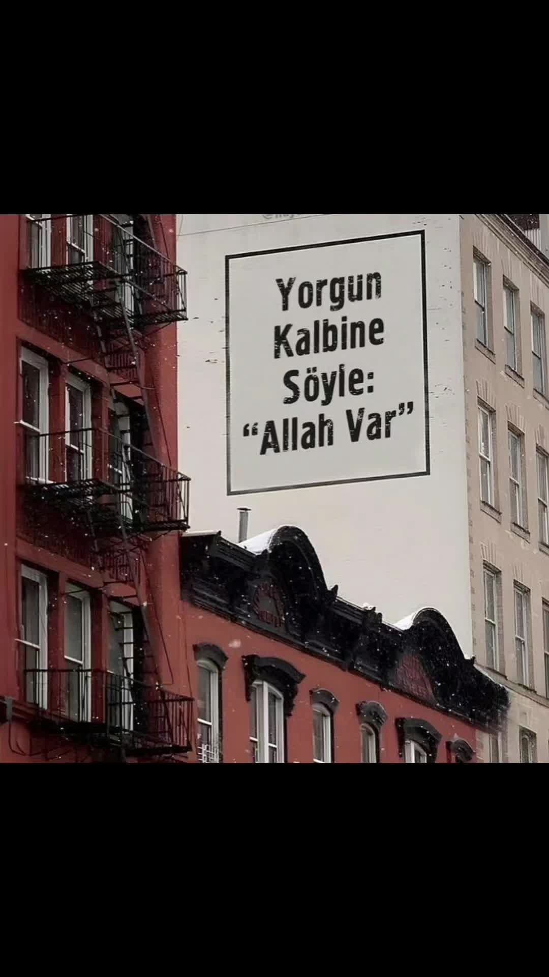 @🇹🇷nevo🇹🇷