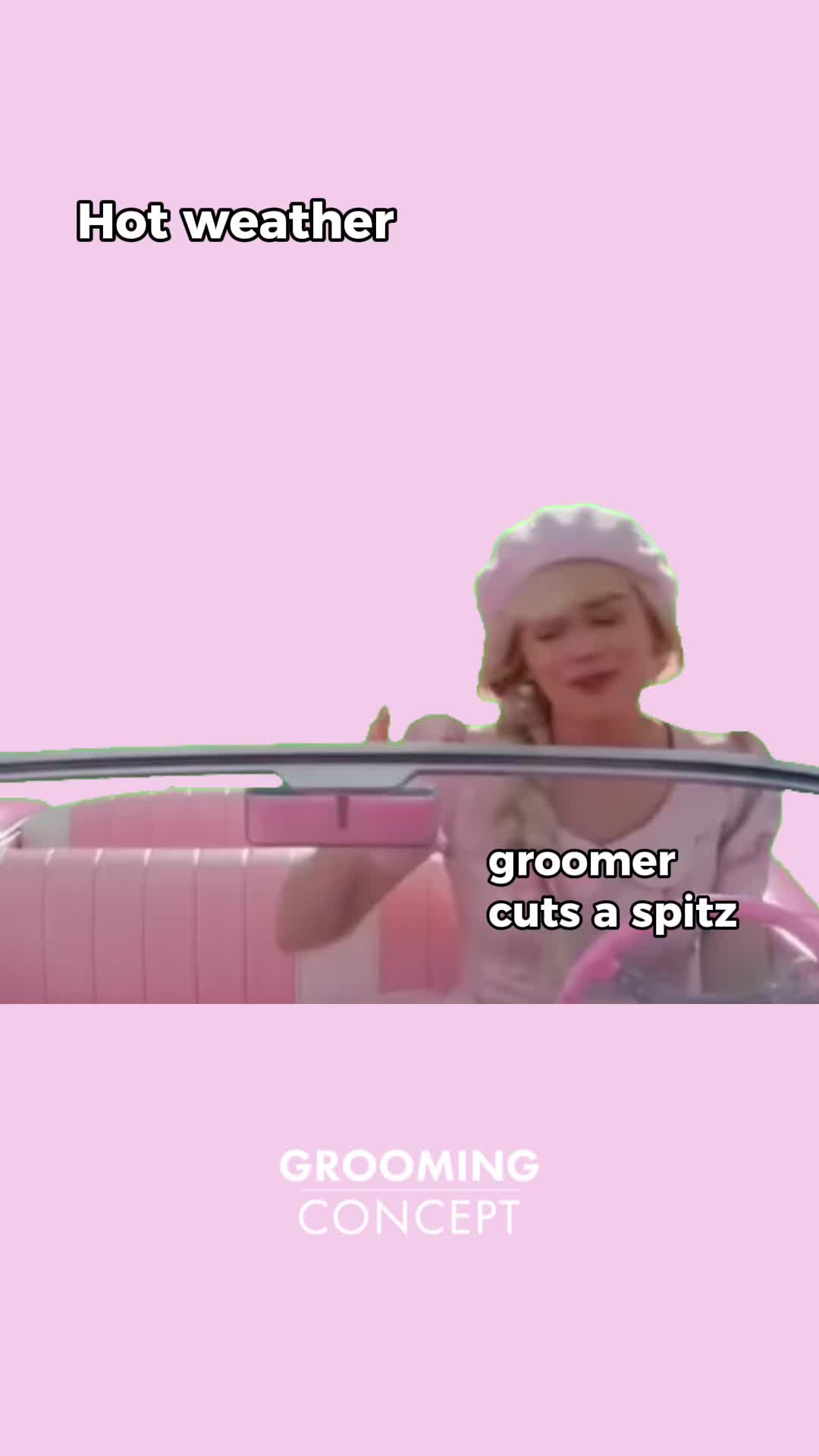 @groomingconcept.cz