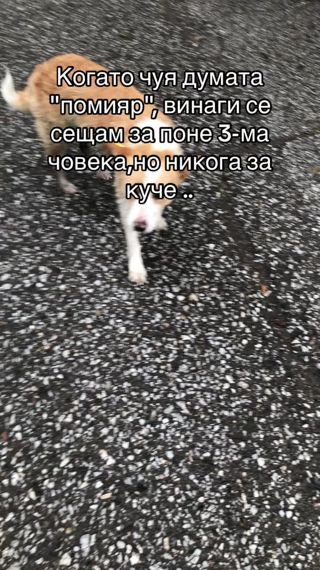 @Tania Dimitrova