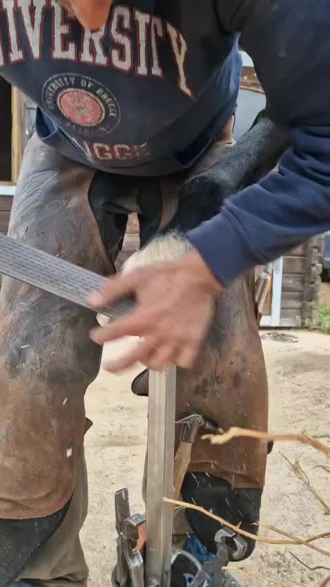 @TikTok Farrier