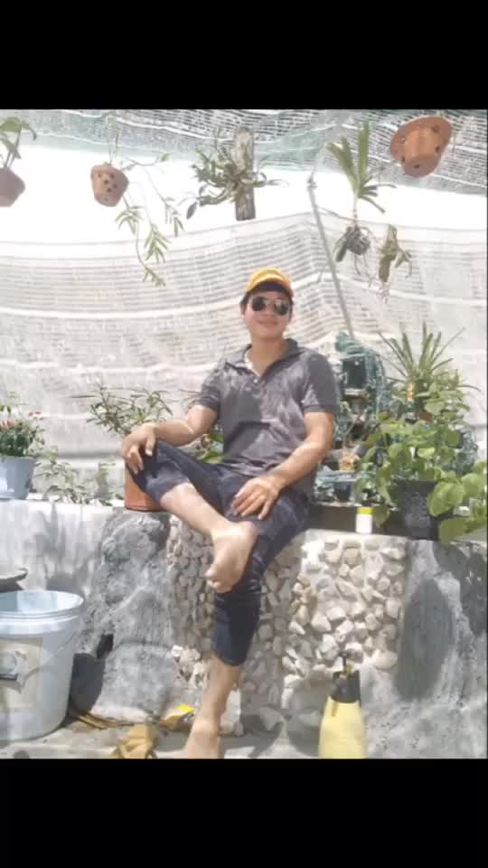 @luyen ok