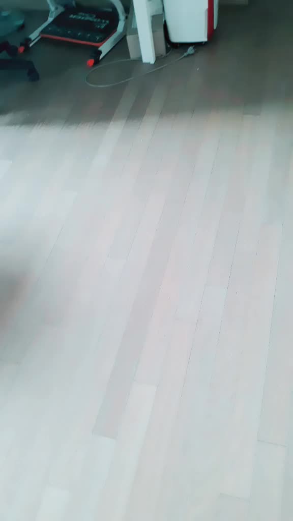 @정신나간 그림충