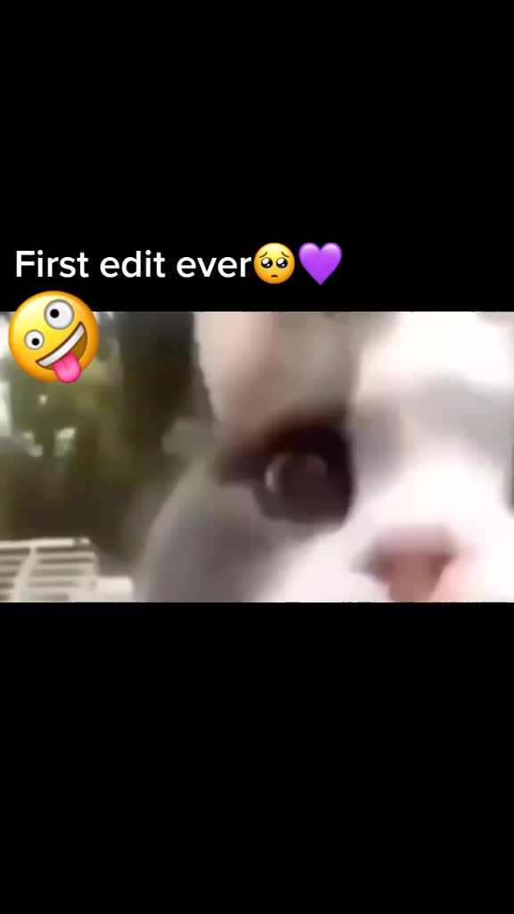 @๐OT7๐