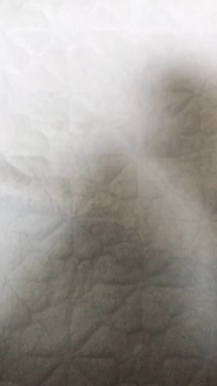 @홍가은