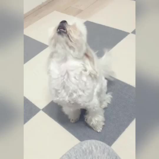 @또꾸네