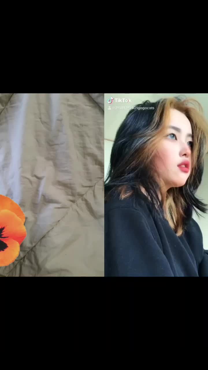 @커밋 터크랑 잘 노는중