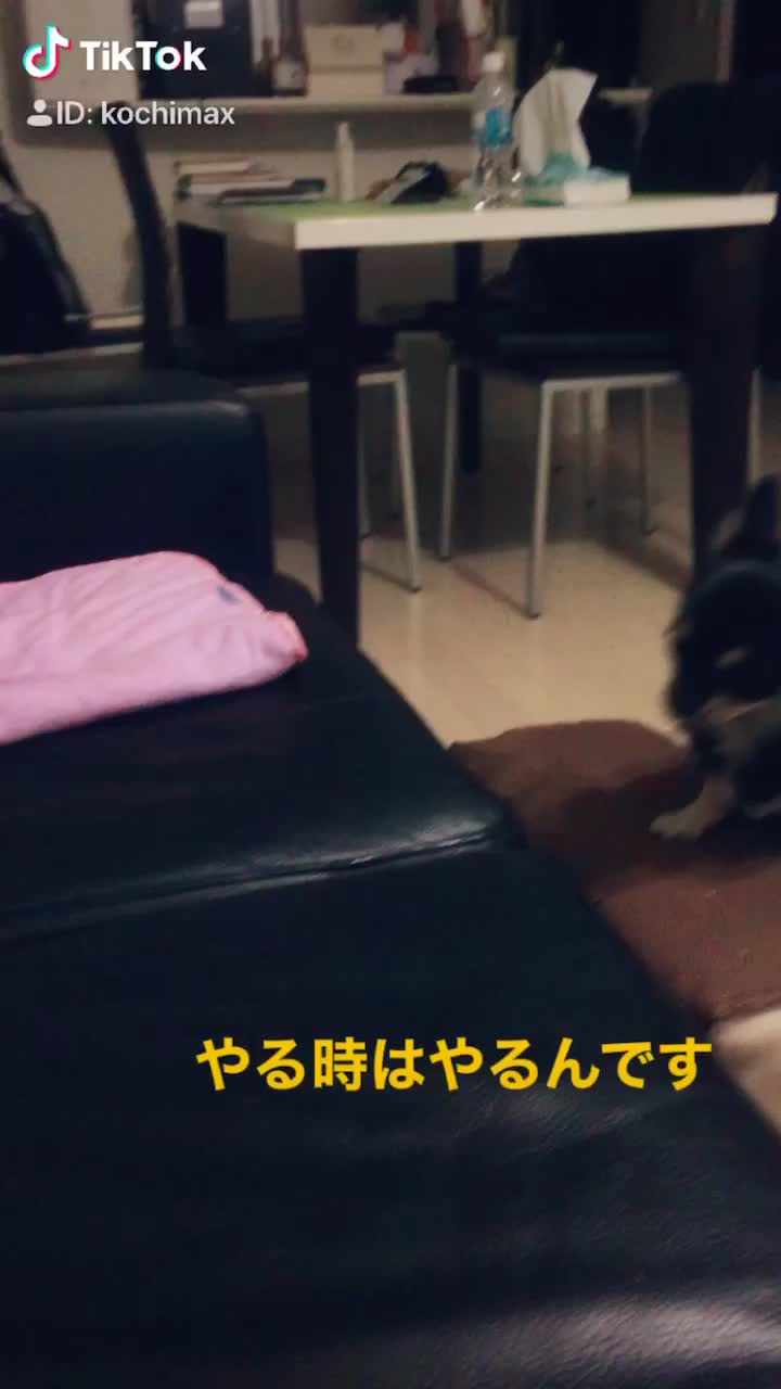 @コチマックス