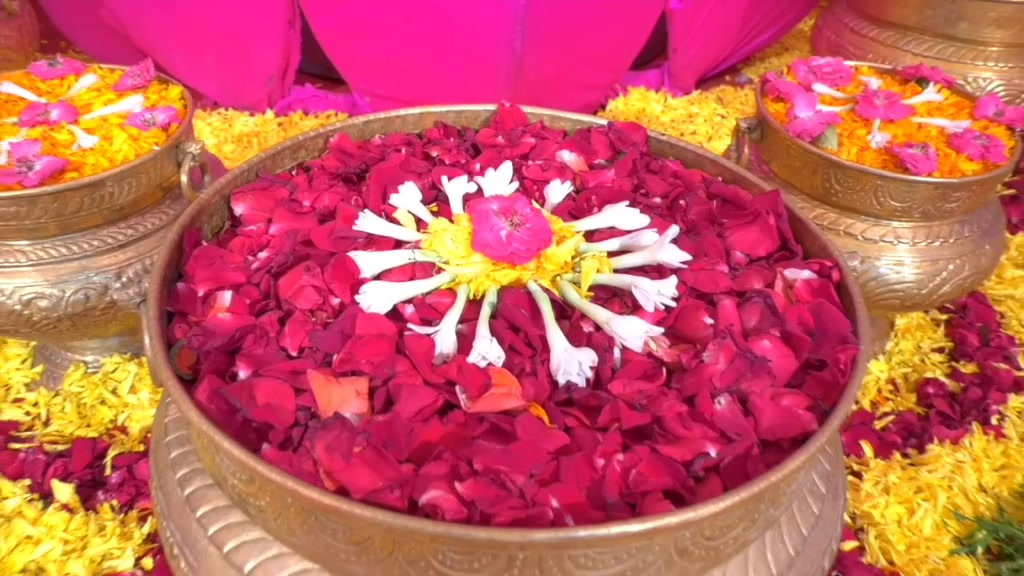 @divyaneelam